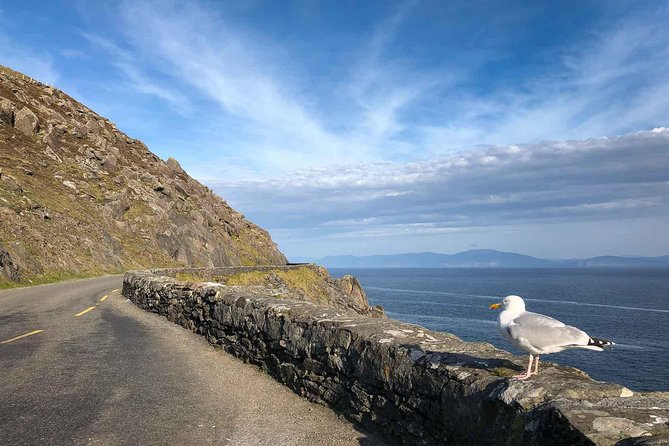 Slea Head Photo & Sightseeing Tour - Why this route works so well from Dingle