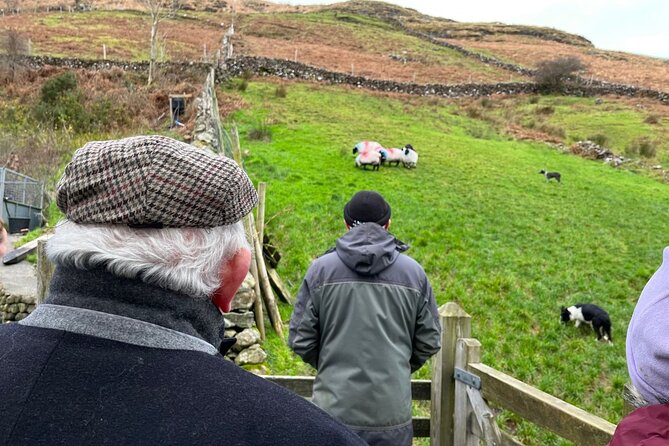 Small Group Kylemore Abbey, Sheepdog Demo & Connemara Tour - Why the sheepdogs make this tour different