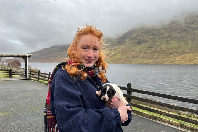 Small Group Kylemore Abbey, Sheepdog Demo & Connemara Tour - Who should book this Connemara day?