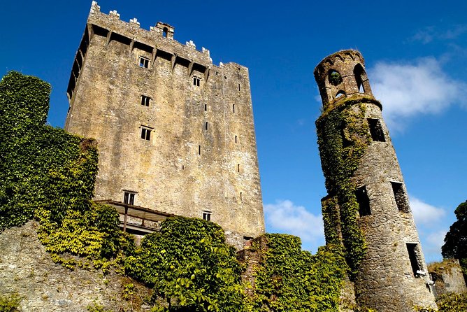 (Small Group) Shore Tour from Cork: Blarney Castle & Jameson Distillery - Reaching Blarney before the queues