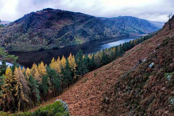 (Small Group) Shore Tour from Dublin:Dublin Highlights and Glendalough Day Trip - Glendalough’s sixth-century monastic site