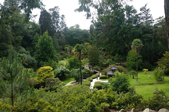 Spanish Glendalough And Powerscourt Tour - Timing, Group Size, and Practical Details