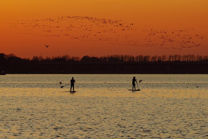 Sunset SUP experience in Malahide, Dublin - Key points to know before you book