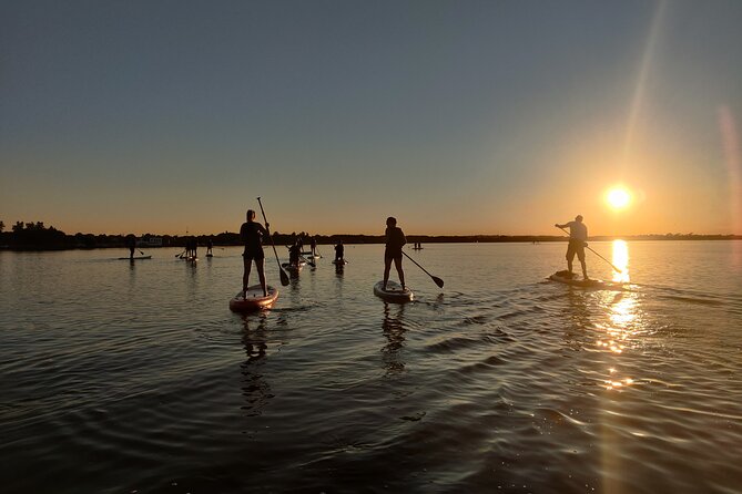 Sunset SUP experience in Malahide, Dublin - Starting on land: safety before the paddle