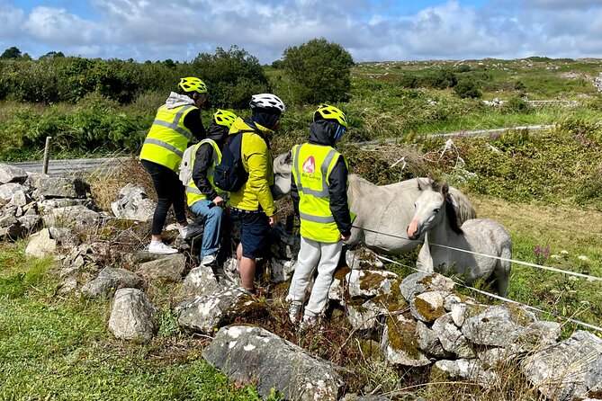Taste of Connemara Tour by Electric Fat Tyre Bike - Why this Galway bike tour feels different