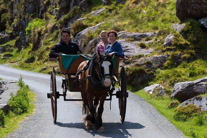 The Gap of Dunloe Full-Day Tour from Killarney - Ross Castle and the end of the standard route