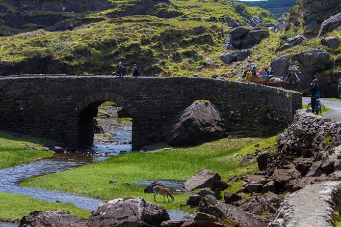 The Gap of Dunloe Full-Day Tour from Killarney - What the $72.59 price really covers