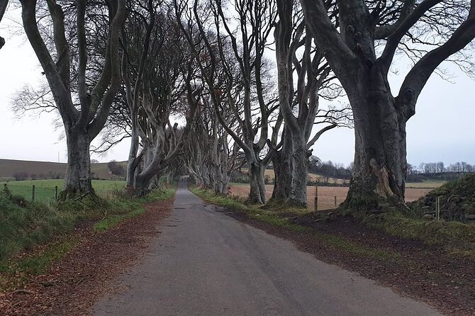 The Giant's Causeway, Dunluce Castel and Belfast - Spanish guide - What the Spanish guide adds