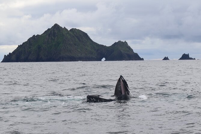 The Great Blasket Island Experience - Premium Tour - Leaving Dingle for the Blasket Islands