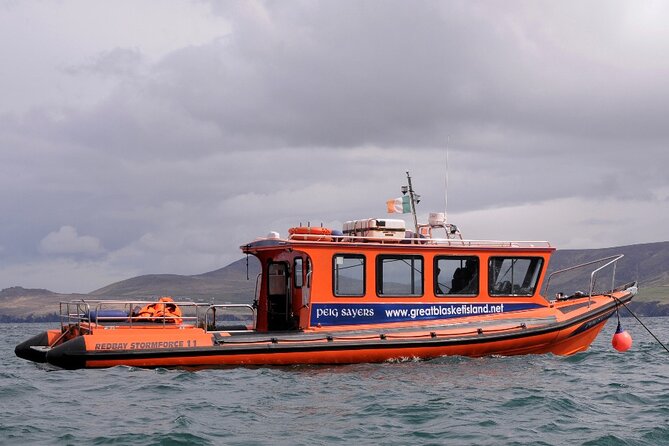 The Great Blasket Island Experience - Premium Tour - Seal watching, lunch, and a slower afternoon