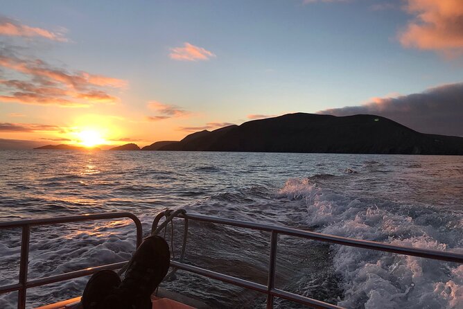 The Great Blasket Island Experience - Premium Tour - The return run to Dingle