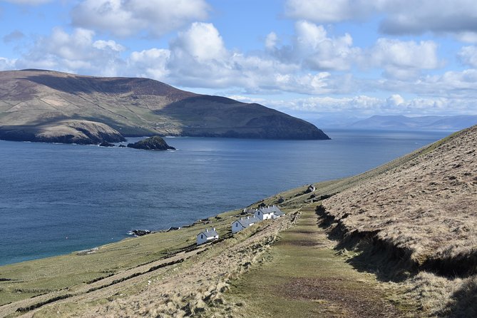 The Great Blasket Island Experience - Premium Tour - Is the $141.49 price good value?