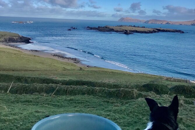 The Great Blasket Island Experience - Premium Tour - Weather, cancellation, and practical limits