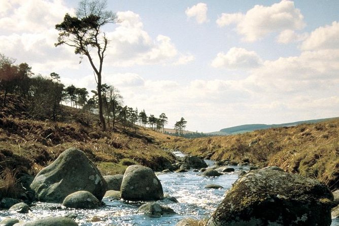 The Original Award Winning Wild Wicklow Tour incl. Glendalough - Sally Gap and Lough Tay show you Wild Wicklow