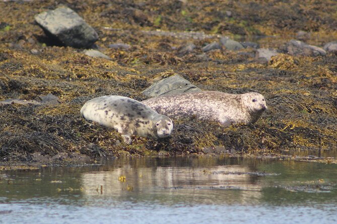 The Valentia Island Experience - What the guides add