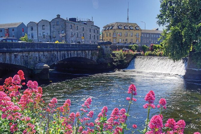 The Welcome to Galway Walking Tour - What the guide adds to the experience