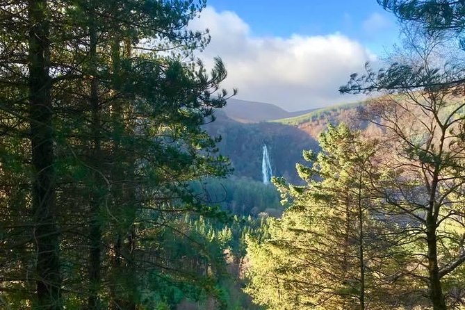Tour Wicklow Mountains National Park in a limo with private guide - Powerscourt Gardens: an elegant first stop