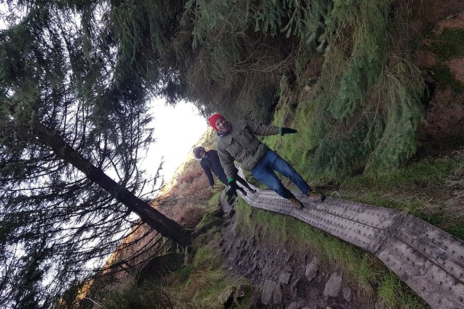 Trek the Tombs and Trails in the Dublin Mountains - Wild berries and the value of a slower pace