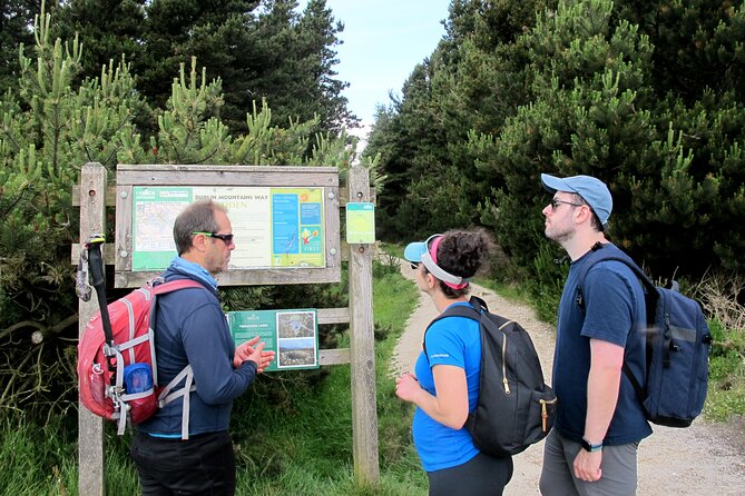 Trek the Tombs and Trails in the Dublin Mountains - The ridge between Dublin and Wicklow