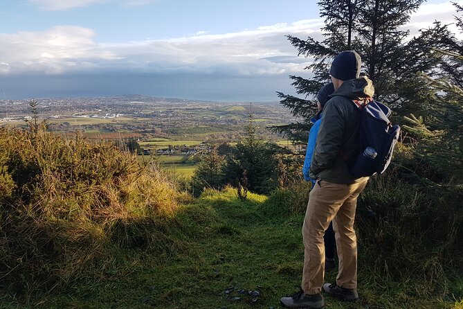 Trek the Tombs and Trails in the Dublin Mountains - Tibradden and the second burial site