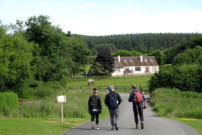 Trek the Tombs and Trails in the Dublin Mountains - Is $180.44 a fair price?