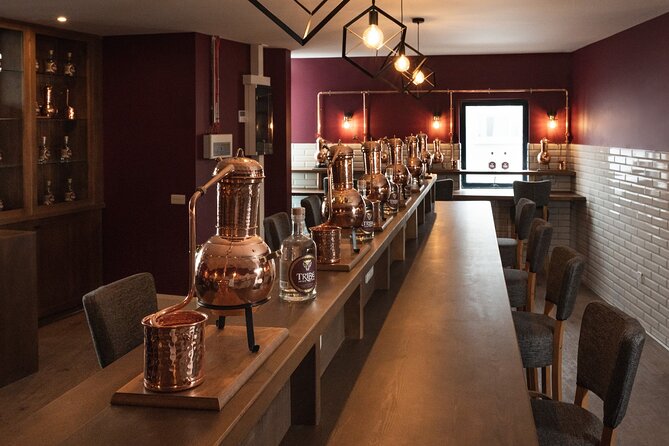 Tribe Gin School Experience in Galway - Key Points to Know