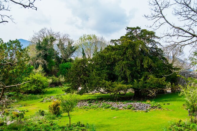 Visit Innisfallen Island - Is the $23.70 Price Good Value?