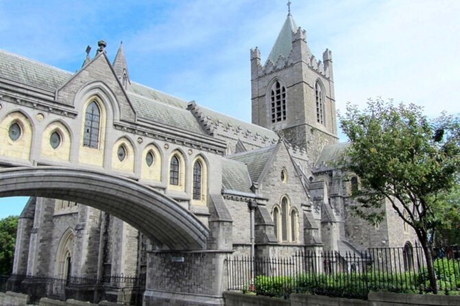 Walking Tour of Dublin’s Viking/Medieval Quarter with a Viking - Walking through the Viking and medieval quarter