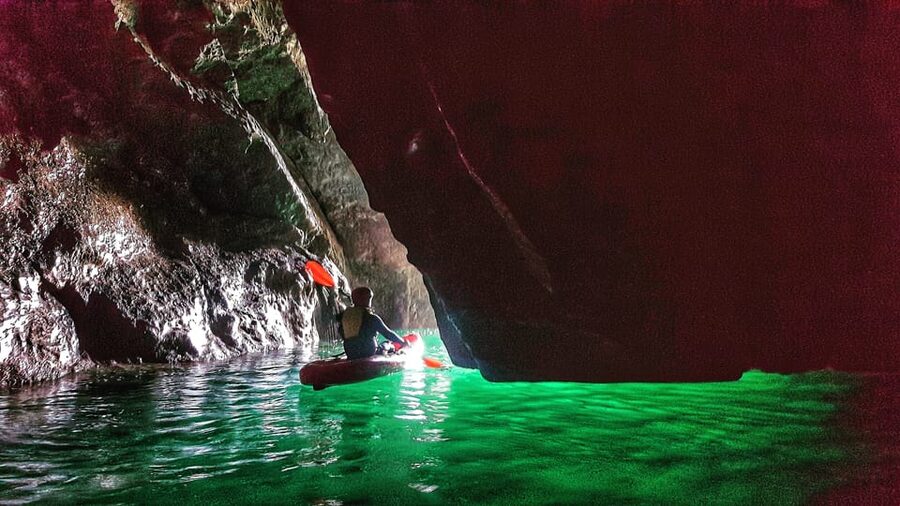 Wexford: Hook Peninsula Sea Cave Kayaking Experience - Seals, seabirds, and possible Atlantic wildlife