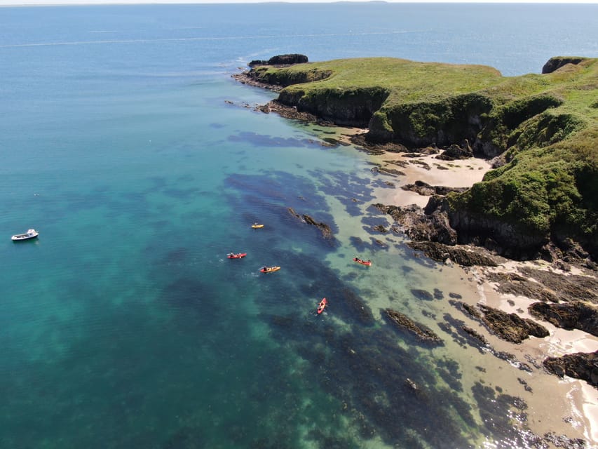 Wexford: Hook Peninsula Sea Cave Kayaking Experience - Who will enjoy this trip most