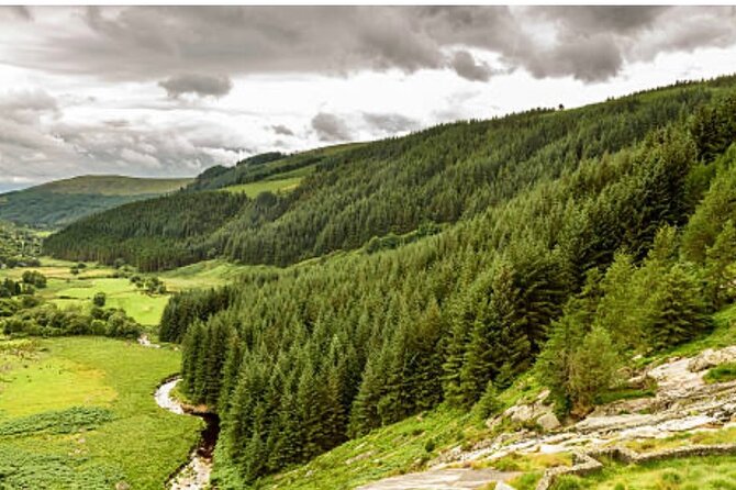 Wicklow and Glendalough Private Chauffeured Sightseeing Tour - Wicklow, the Garden of Ireland