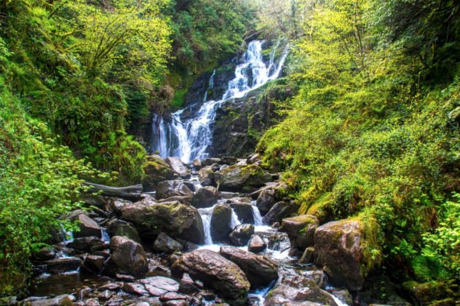 Wicklow Mountains & Glendalough Luxury Private Day Tour - The Military Road and the Feather Beds