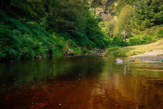 Wicklow Mountains Private Day Trip from Dublin - Laragh and the route beyond the headline sights