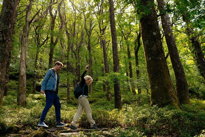 Wicklow Mountains Private Day Trip from Dublin - Is $52 good value for a private Wicklow day?