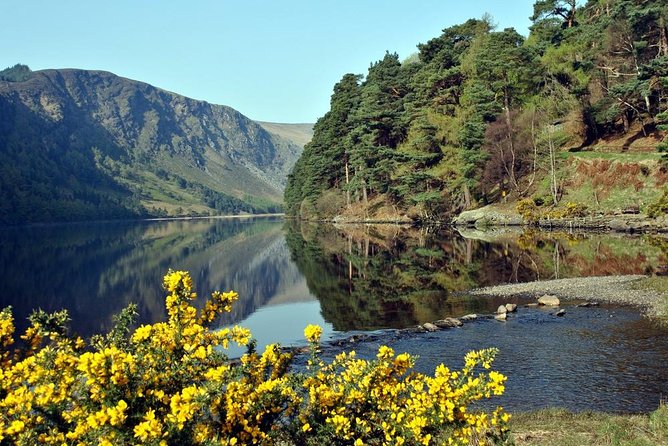 Wicklow tour of Glendalough - How the schedule works for different kinds of visitors