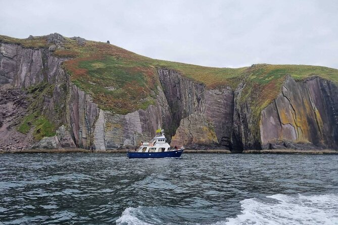 Wildlife Tour - The chance to see dolphins near the bow